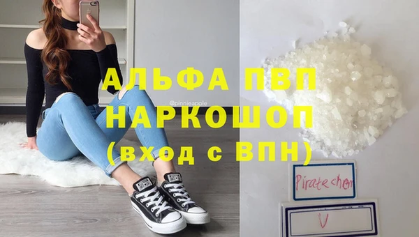 ПСИЛОЦИБИНОВЫЕ ГРИБЫ Новодвинск