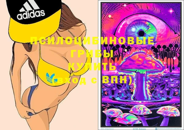 ПСИЛОЦИБИНОВЫЕ ГРИБЫ Новодвинск